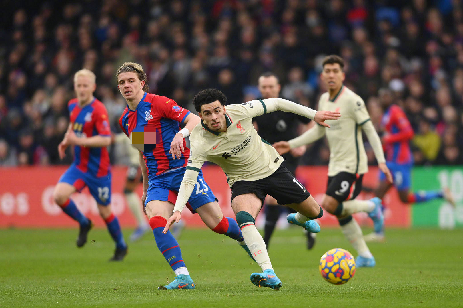 需在以下几 需在以下几